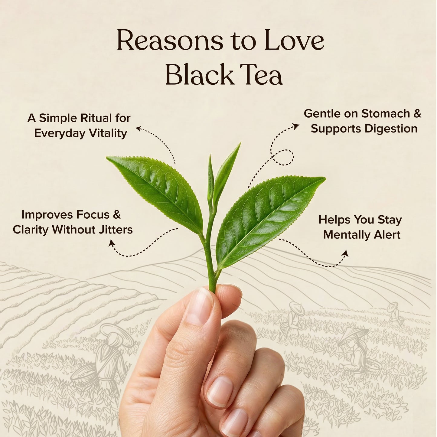 Naturgized Orthodox Tea Loose Leaf - 100g